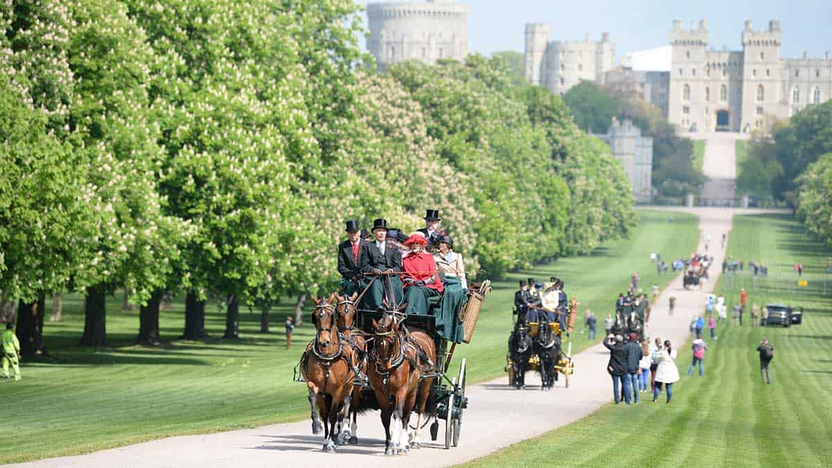 The Royal Windsor Horse Show